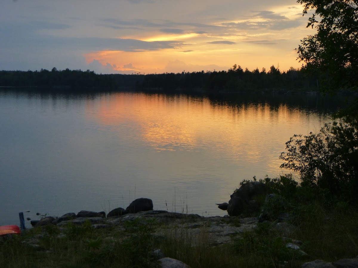 Cover image for Unnamed Campsite