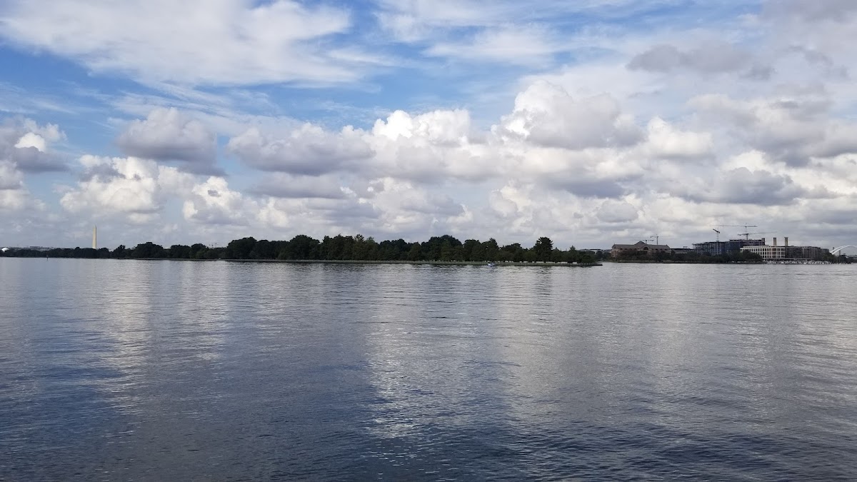Cover image for Hains Point Mixed Use Field