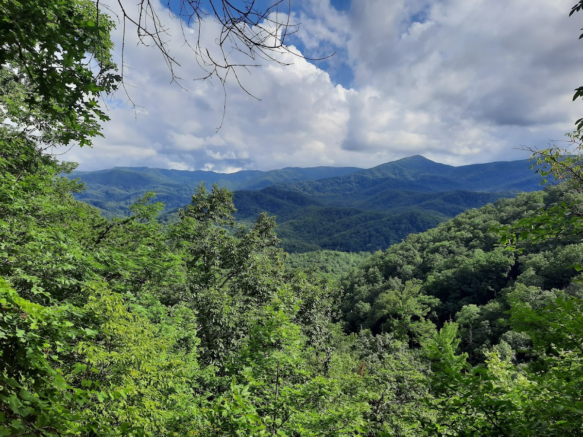 Cover image for Craven Gap Trail