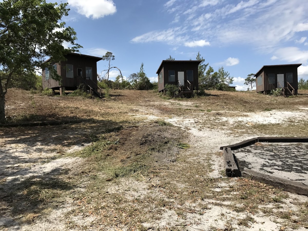 Cover image for Camp Teliogia