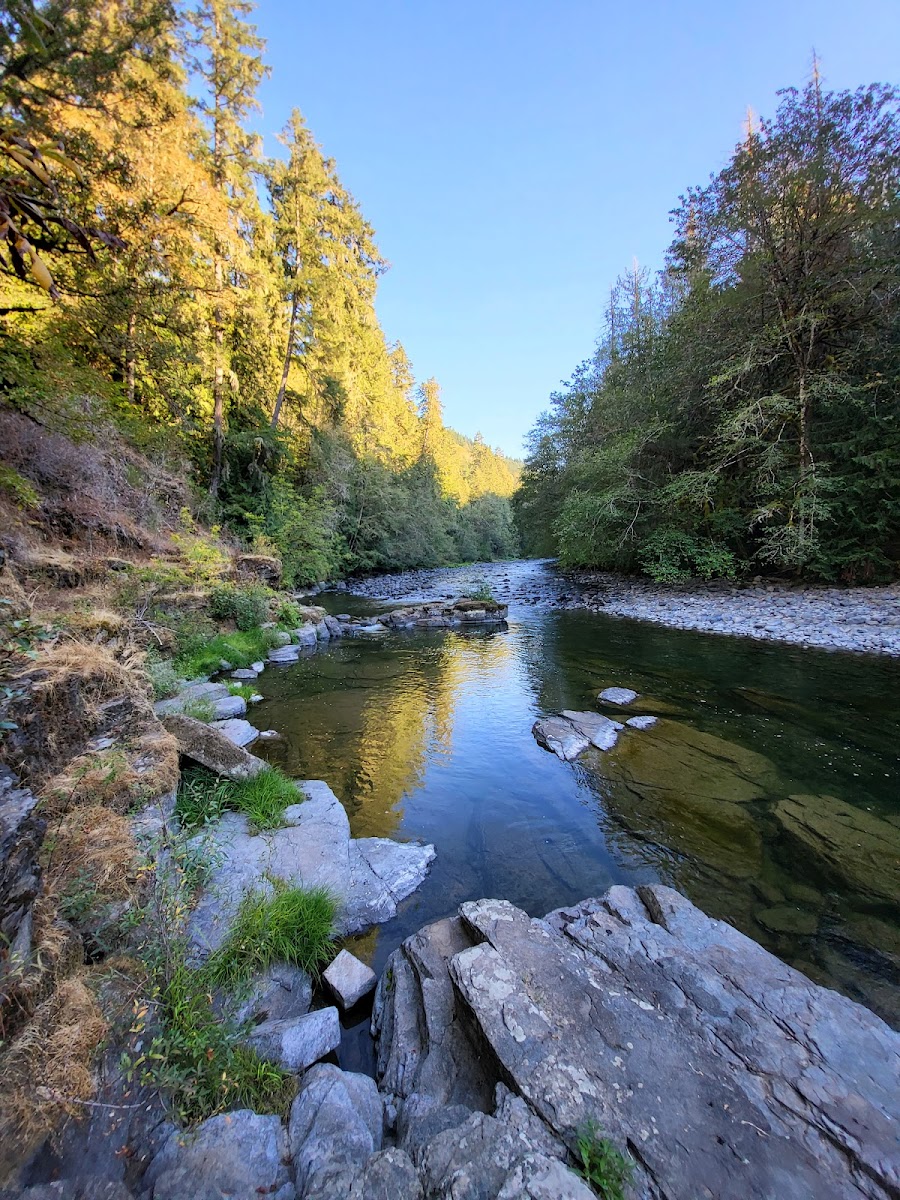 Cover image for Cedar Grove Recreation Site