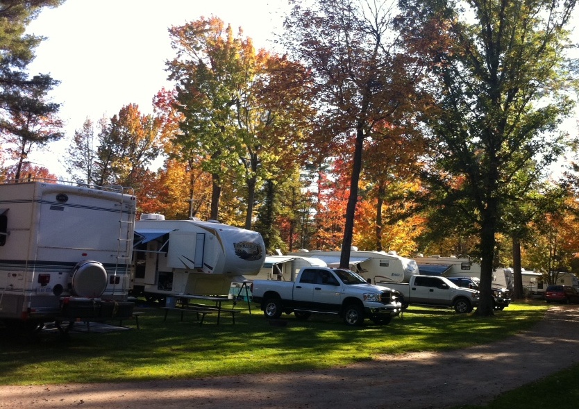 Cover image for Unnamed Campsite