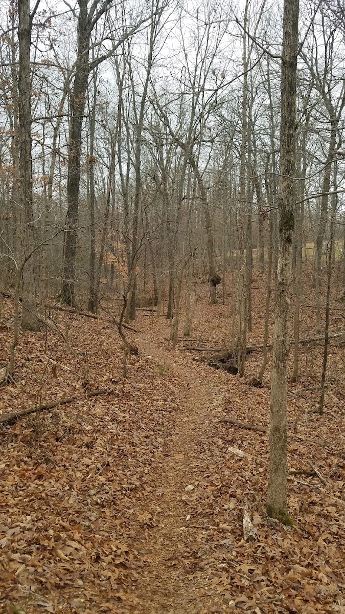 Cover image for Unnamed Trailhead