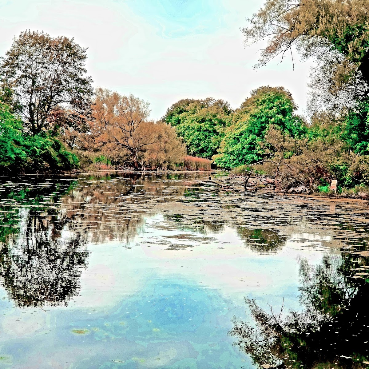 Cover image for Unnamed Water Access