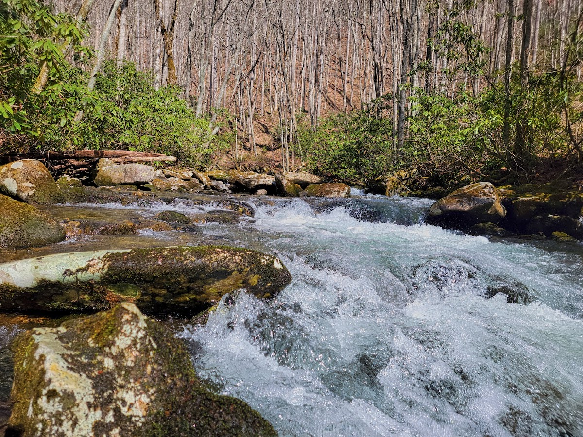 Cover image for Kanati Fork Trail Trailhead