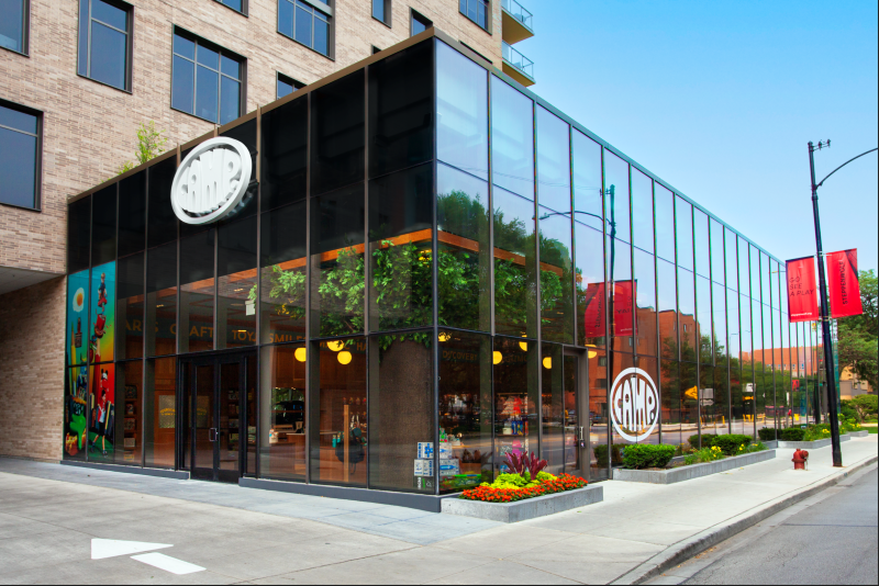 Cover image for Chicago Camp