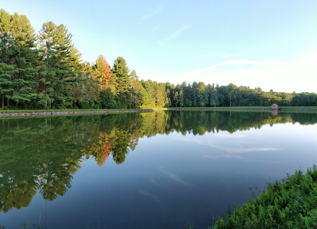 Cover image for Unnamed Water Access