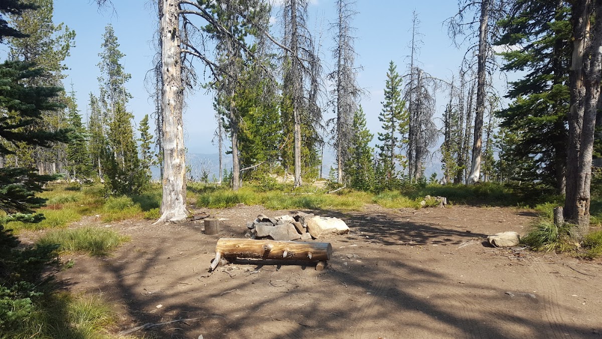 Cover image for Unnamed Campsite