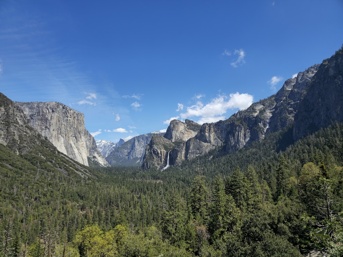Cover image for Yosemite National Park, CA