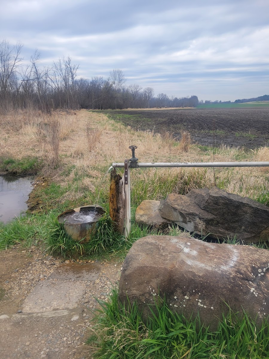 Cover image for Unnamed Water Access