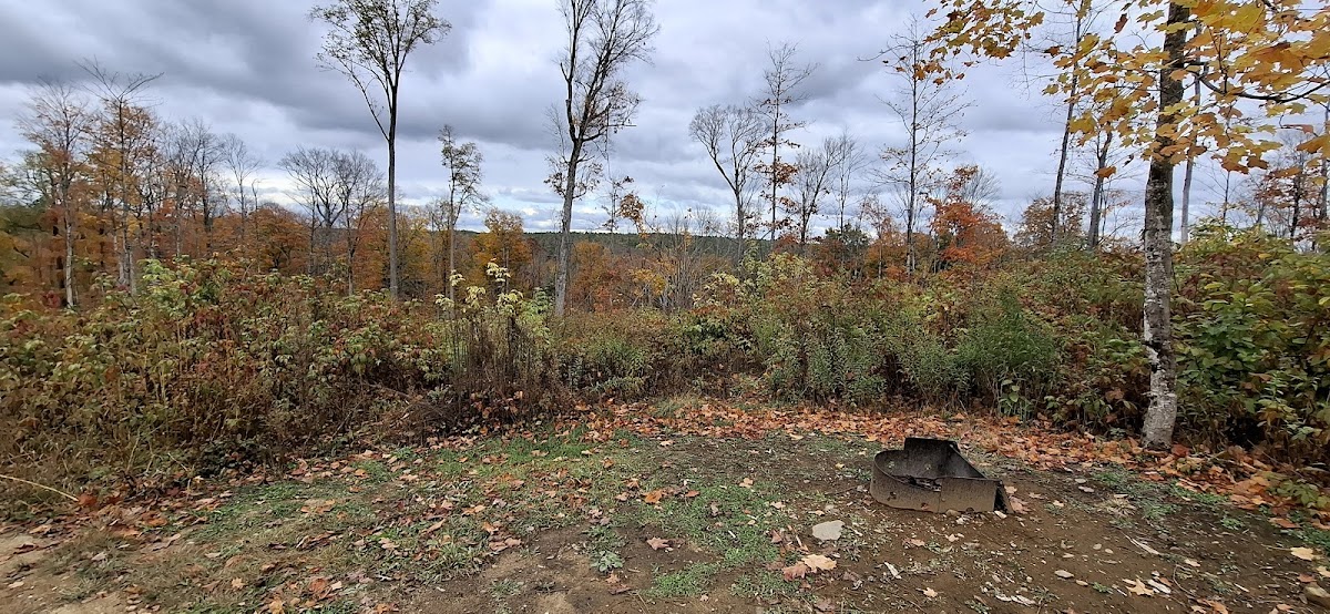 Cover image for Unnamed Campsite