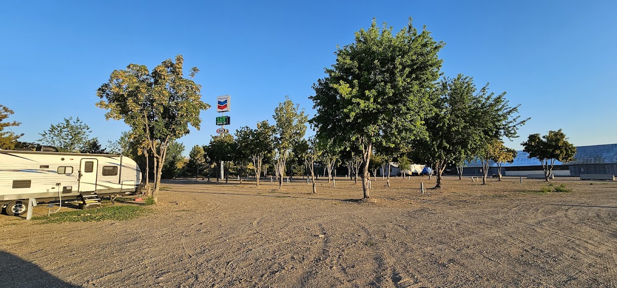 Cover image for Exit Camp