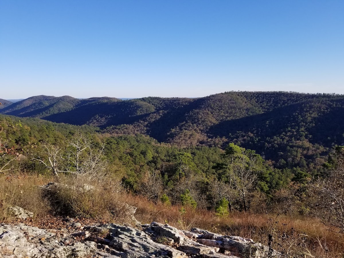 Cover image for Unnamed Campsite