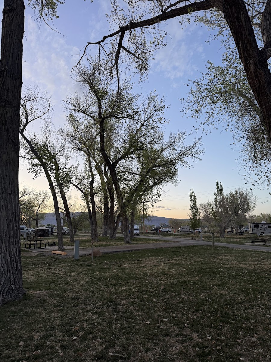 Cover image for Green River State Park Campground