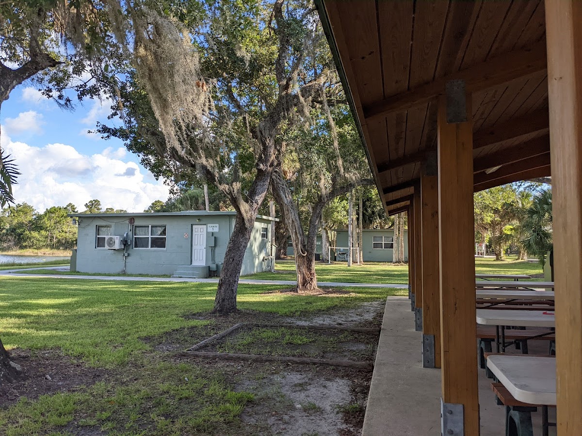 Cover image for Youth Camp