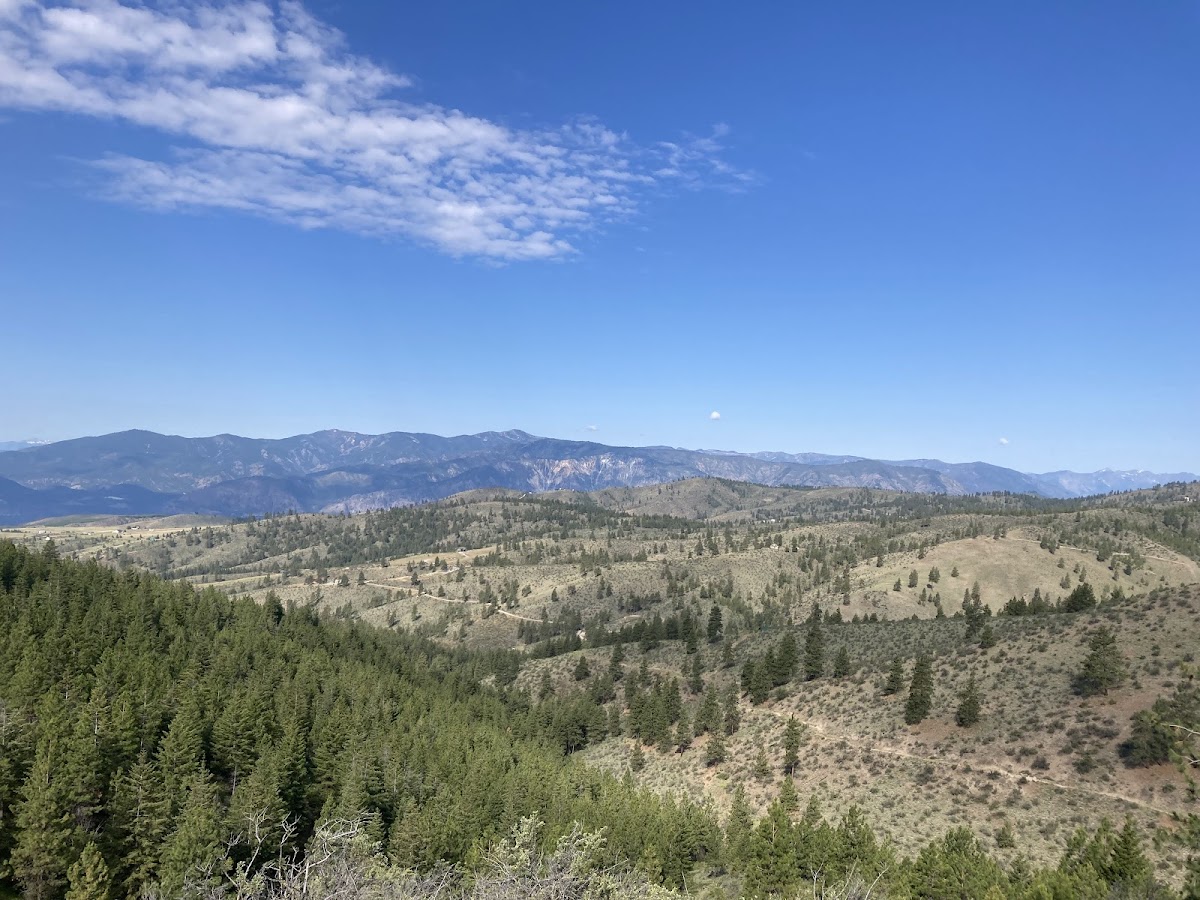 Cover image for Bergman Gulch Trailhead