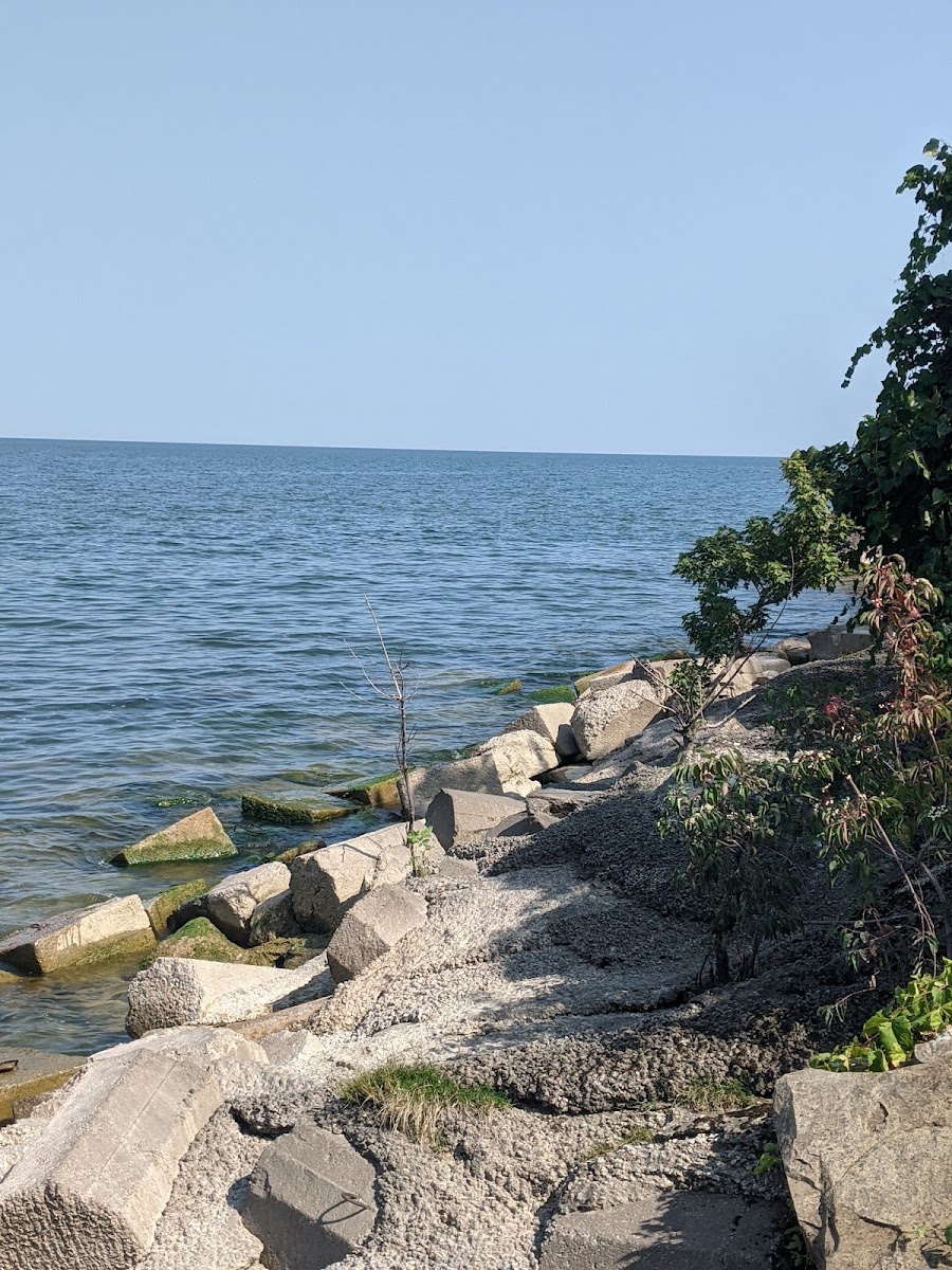 Cover image for Unnamed Water Access