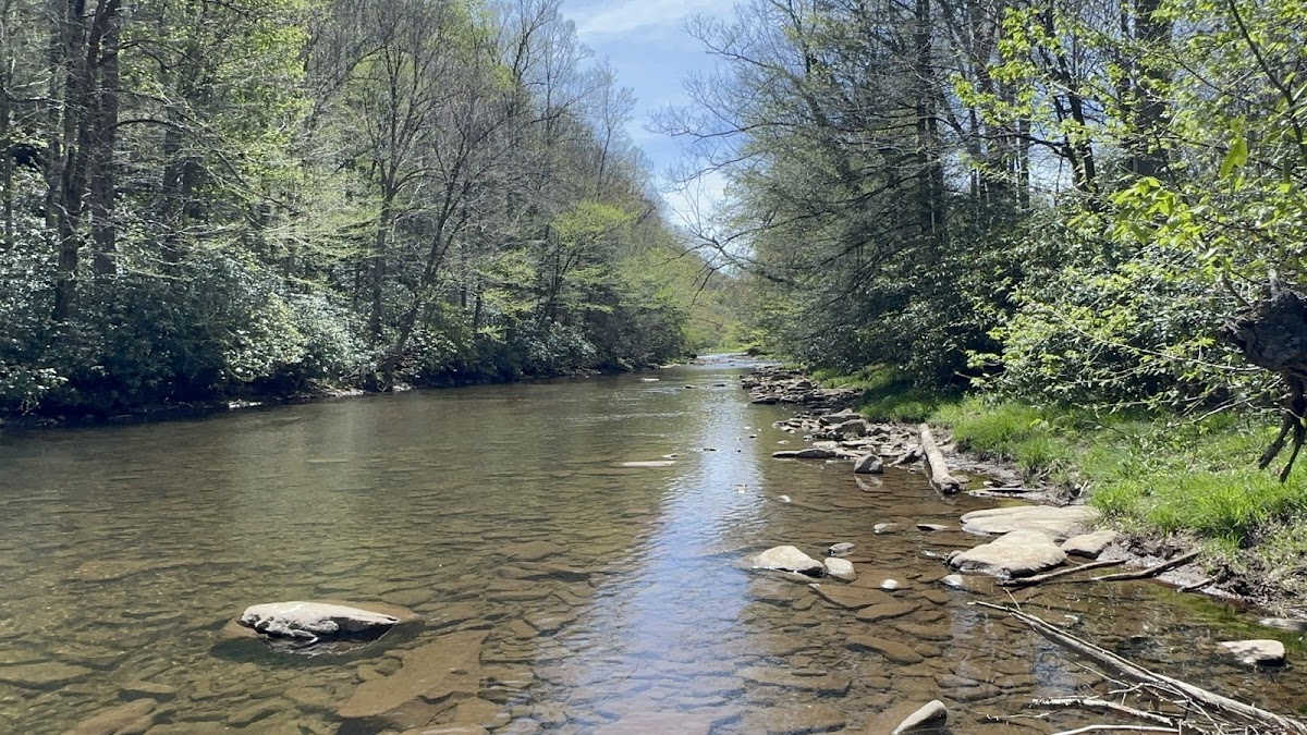 Cover image for Unnamed Campsite