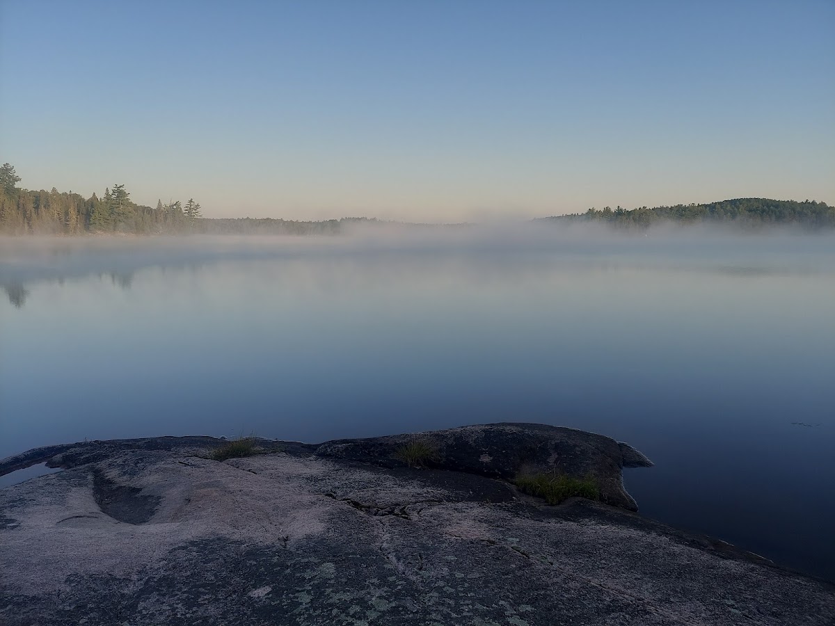 Cover image for Unnamed Campsite