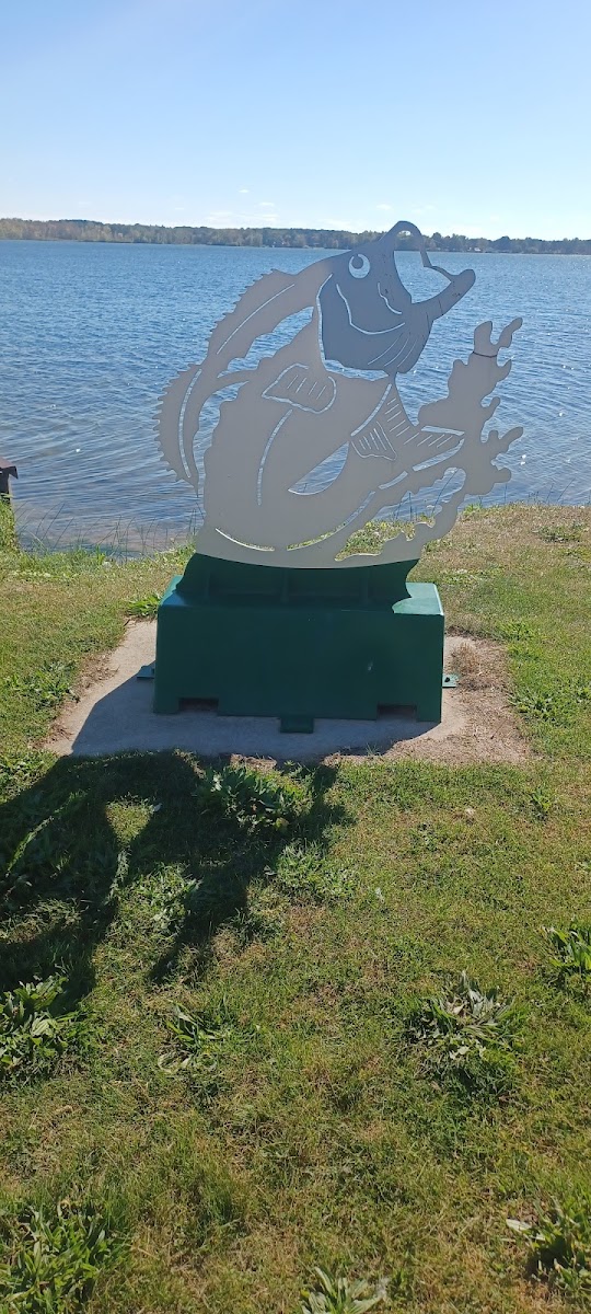 Cover image for Public Boat Launch