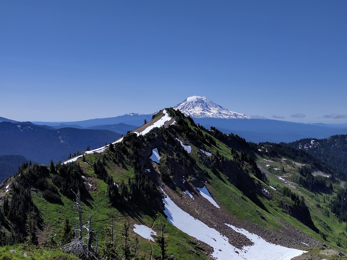 Cover image for Clear Lost Trailhead