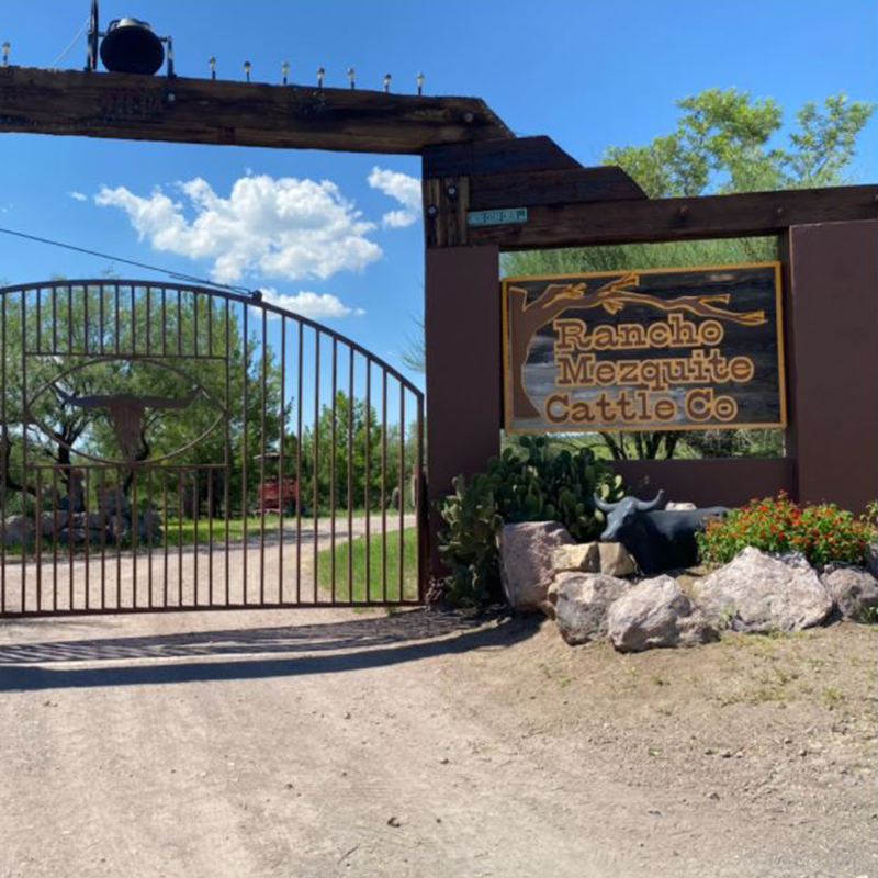 Cover image for Unnamed Campsite