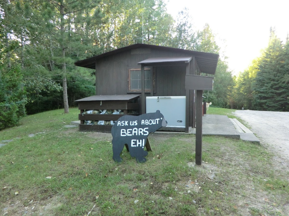 Cover image for Unnamed Campsite