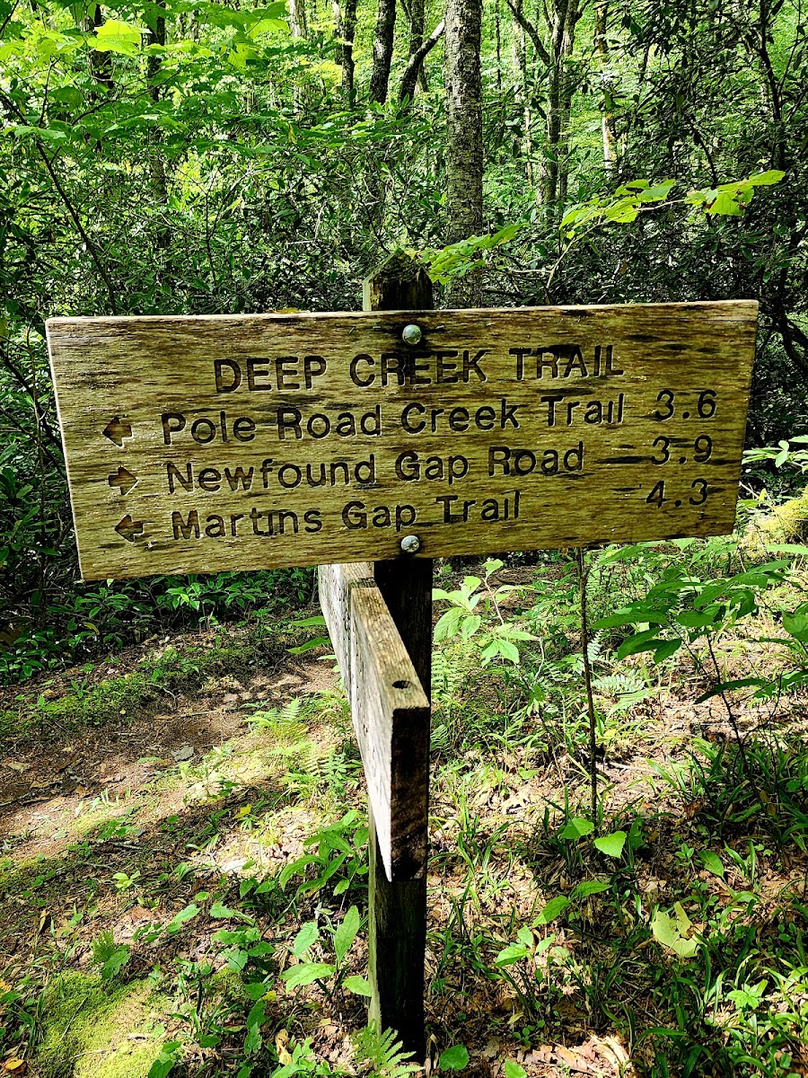 Cover image for Fork Ridge Trail Trailhead