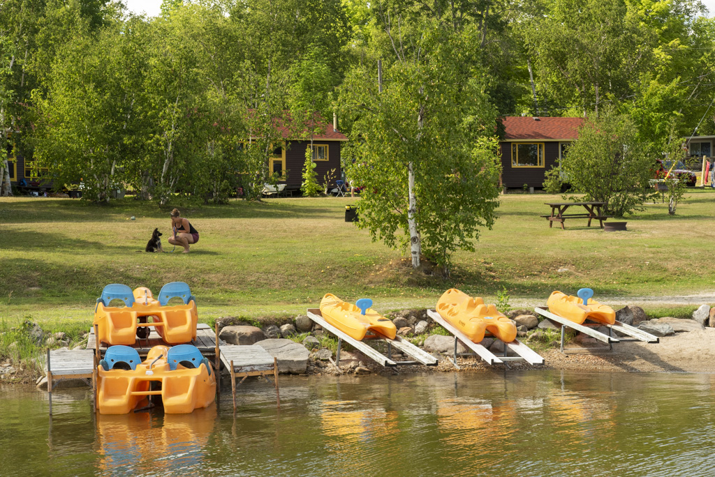 Cover image for Miller Camp