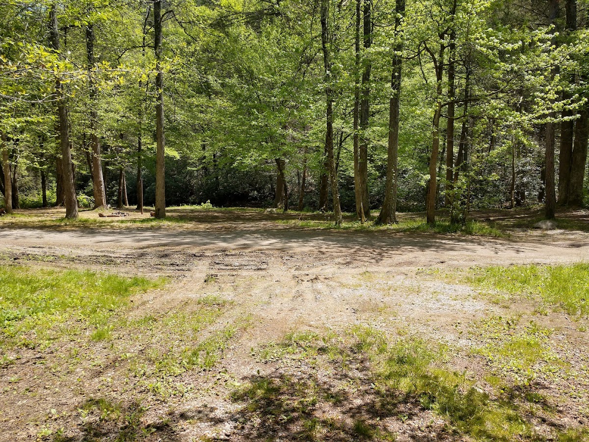 Cover image for Tumbling Creek Campground