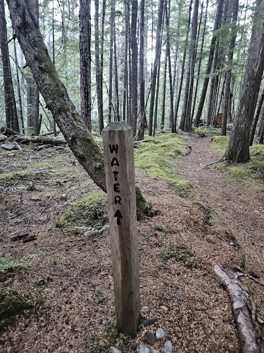 Cover image for Deerlick Camp