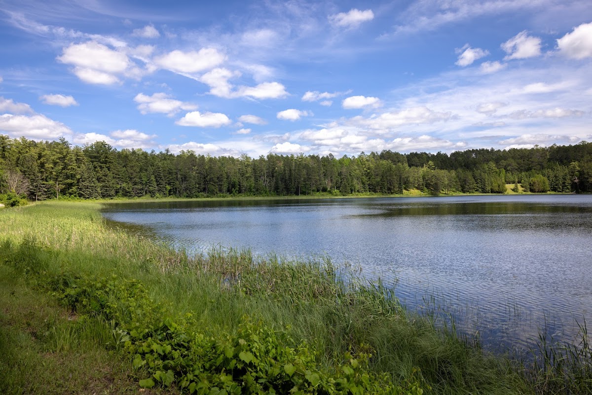 Cover image for Unnamed Water Access