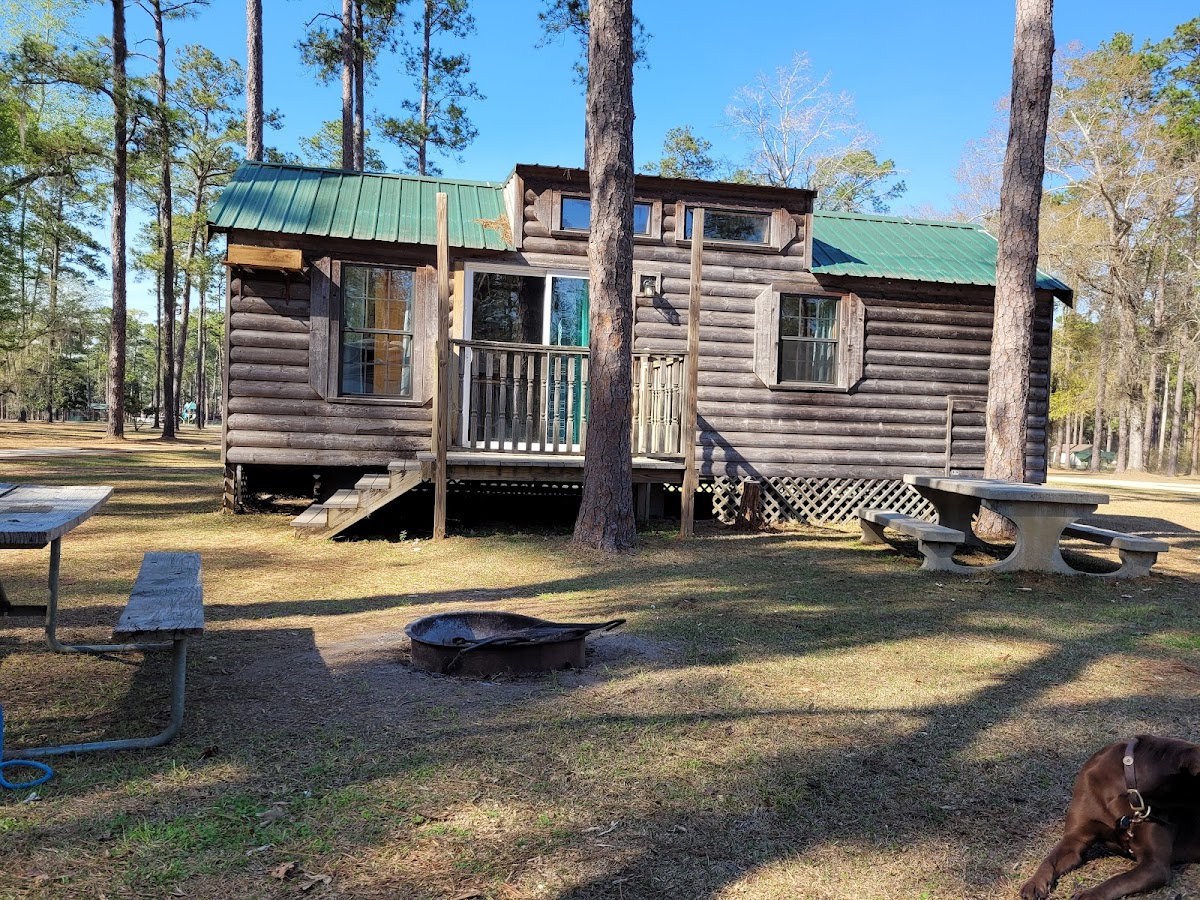 Cover image for Unnamed Campsite