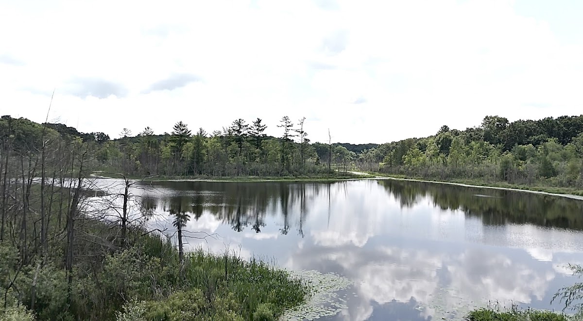Cover image for Chamberlain Lake Boat Launch