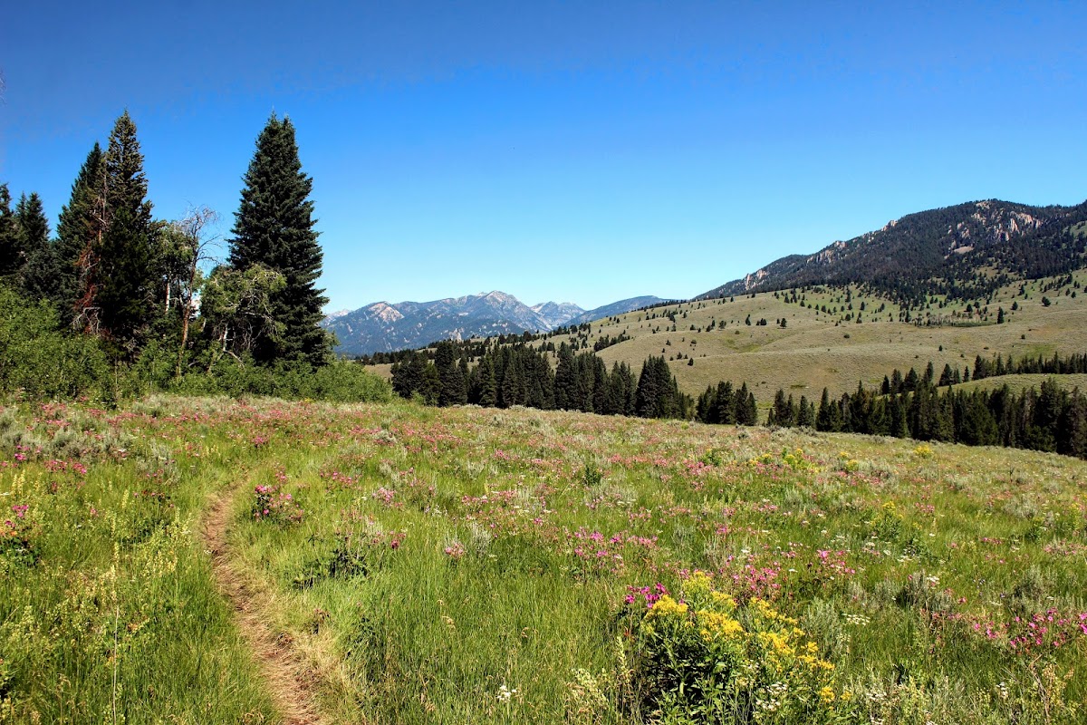 Cover image for Porcupine Trailhead