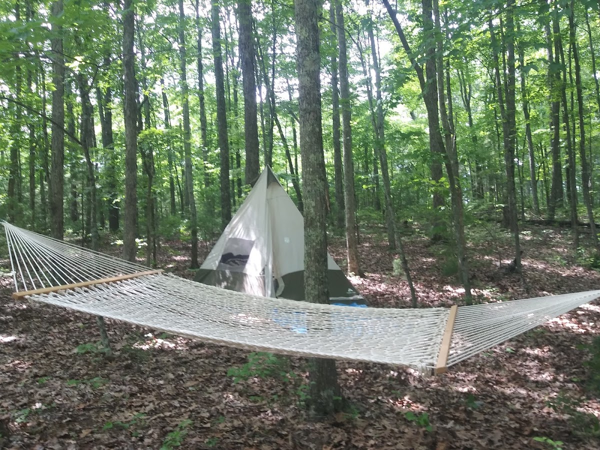 Cover image for Unnamed Campsite