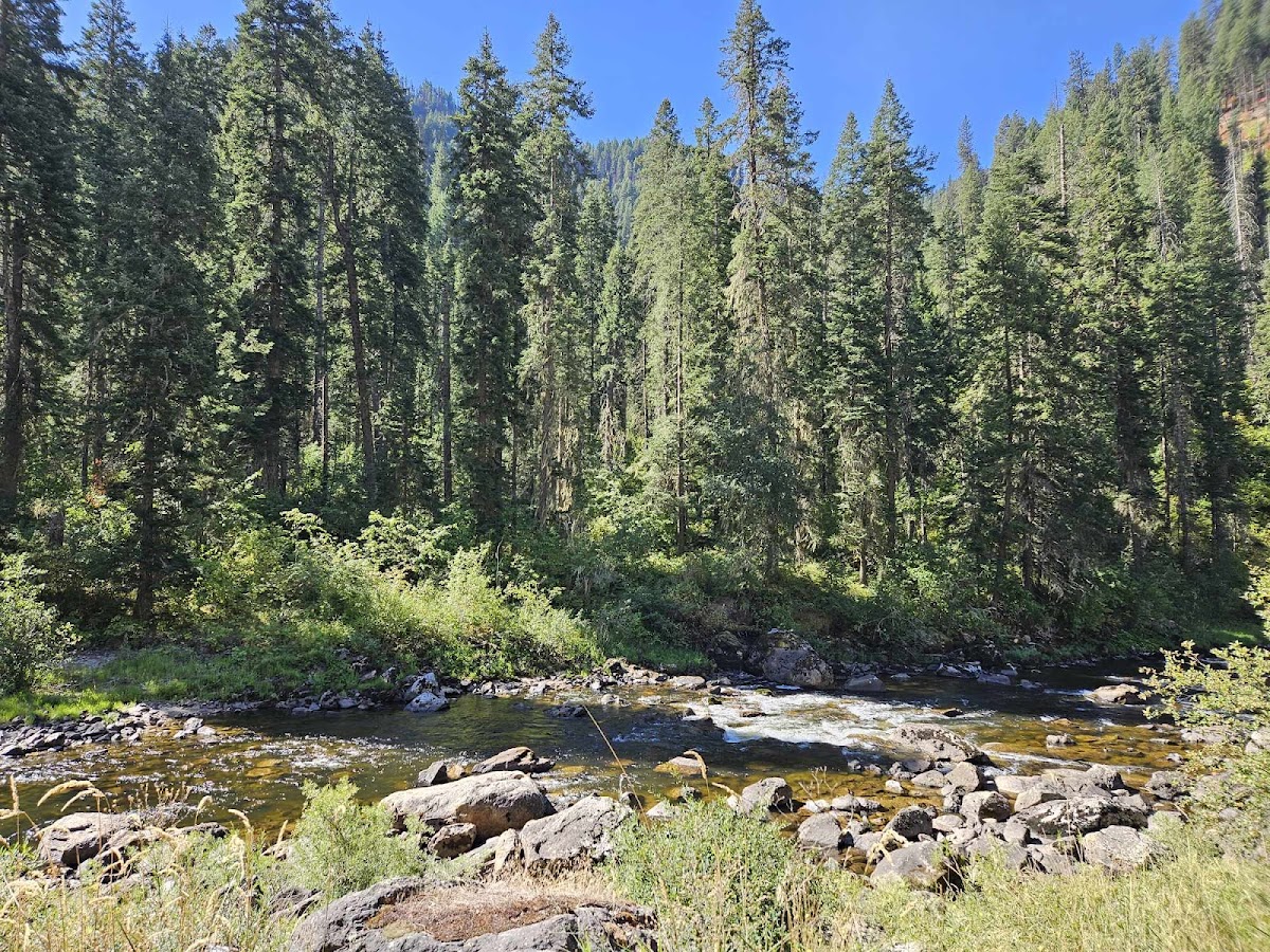 Cover image for Unnamed Campsite