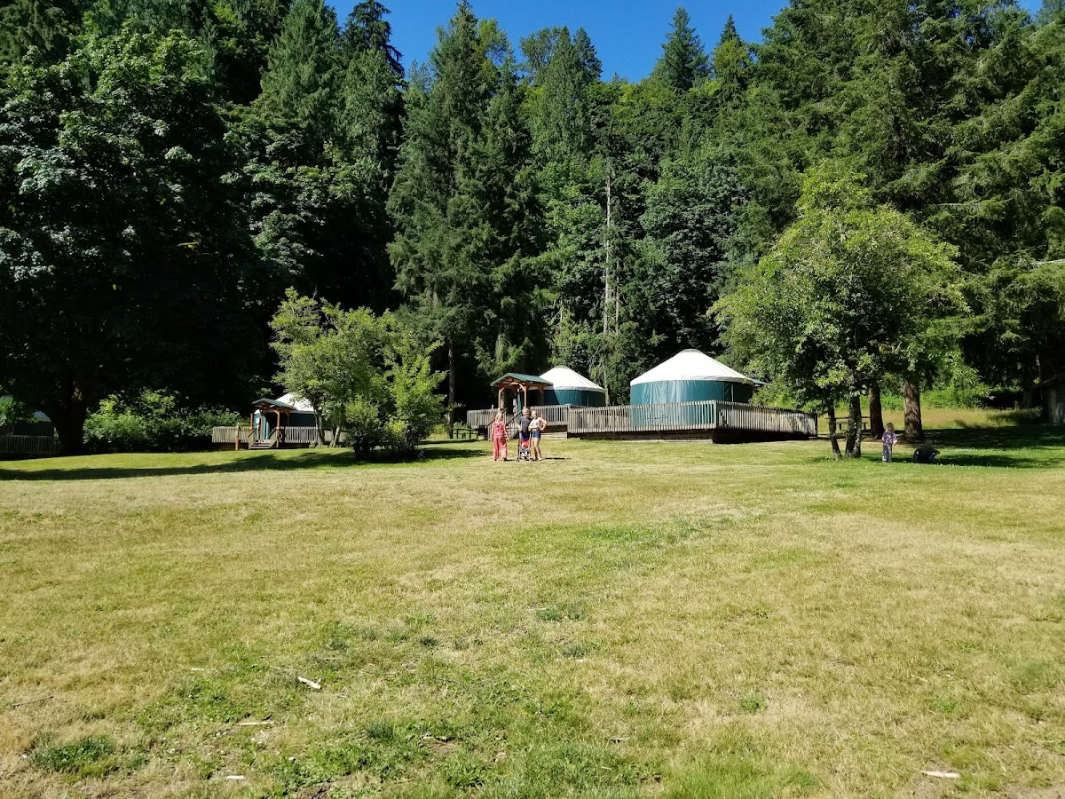 Cover image for Unnamed Campsite