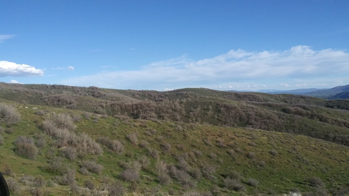 Cover image for Henefer-Echo WMA Trailhead