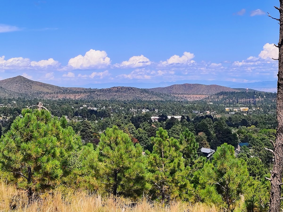 Cover image for Unnamed Trailhead
