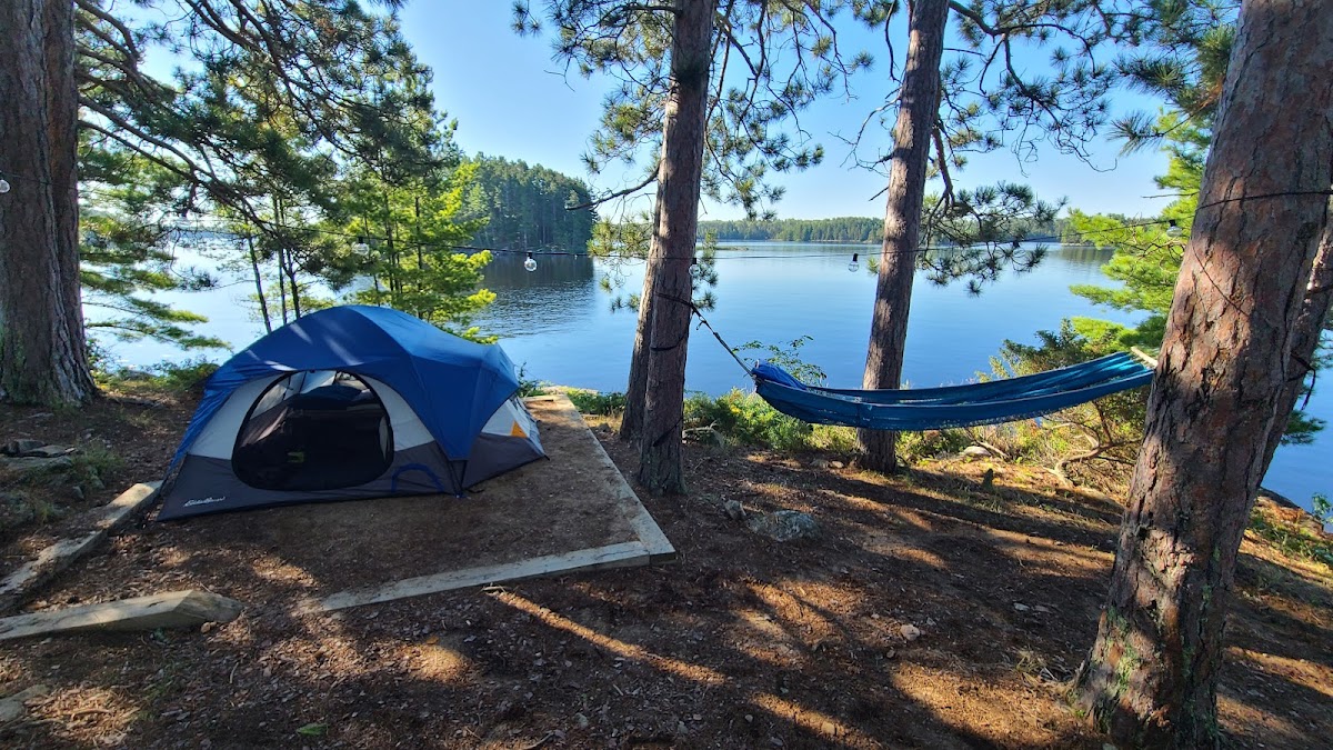 Cover image for Unnamed Campsite