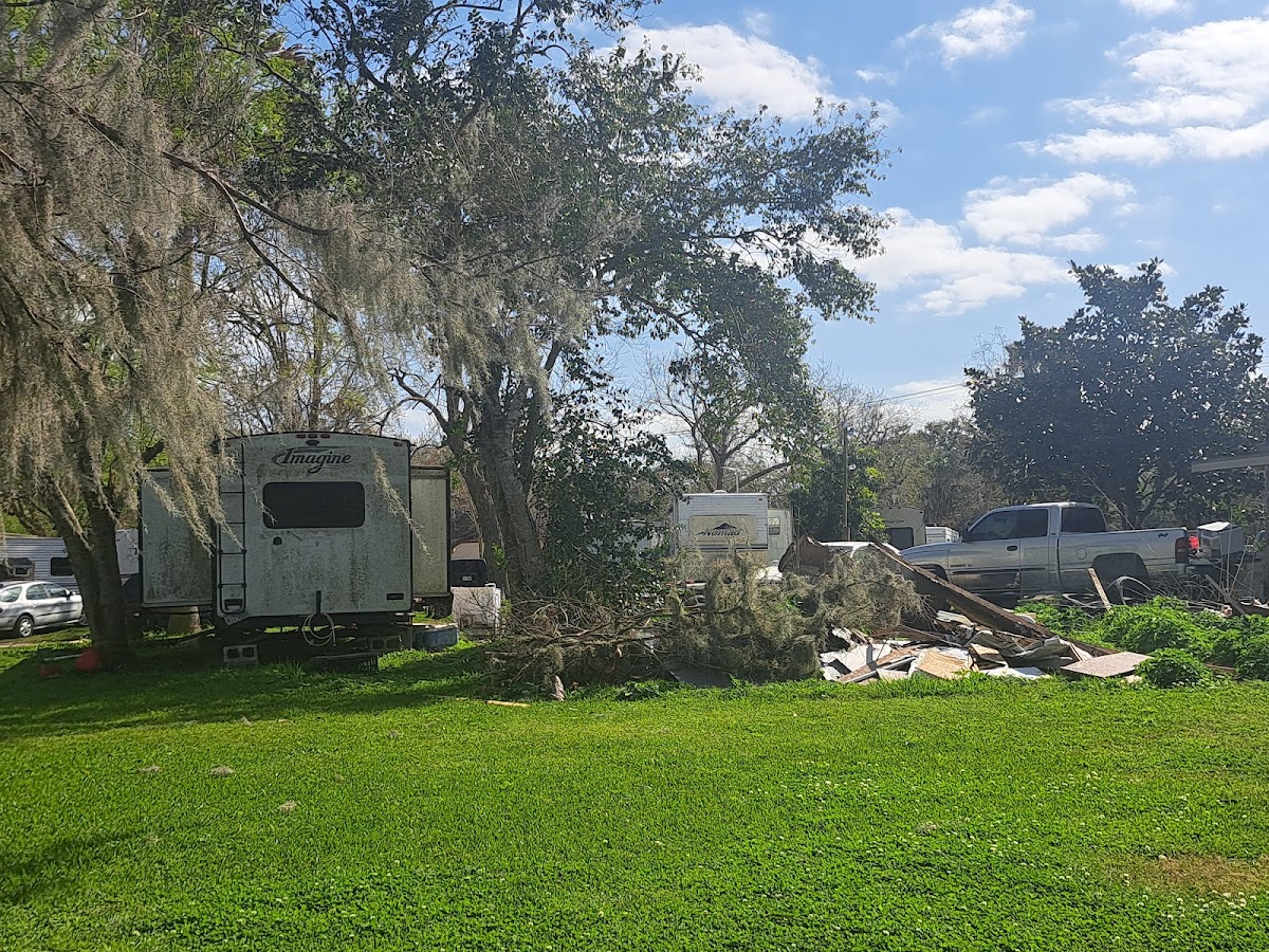 Cover image for Campsite #124