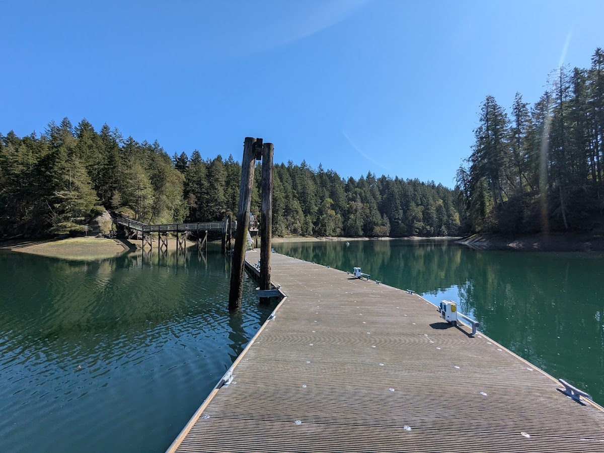 Cover image for Jarrell Cove State Park Campground